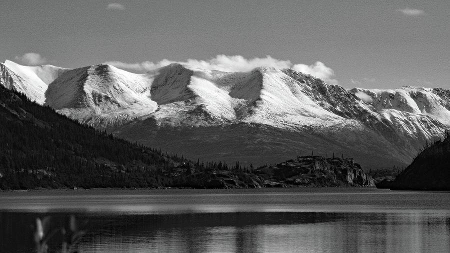 Powdered Sugar in Yukon BW Photograph by Connie Fox