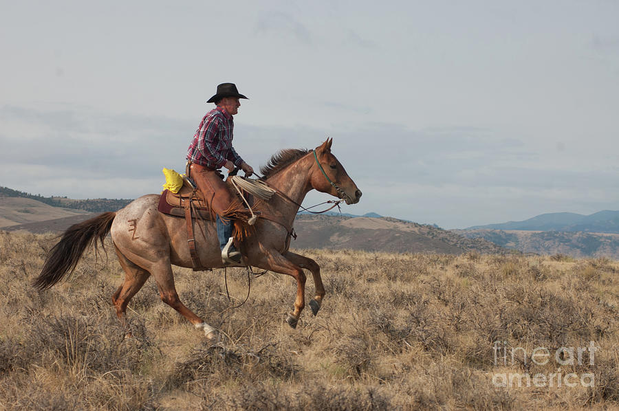 Powderhorn Cowboy 2 Photograph by Jody Miller