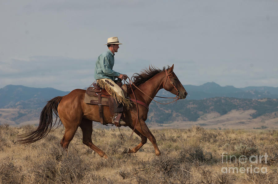 Powderhorn Cowboy 3 Photograph by Jody Miller