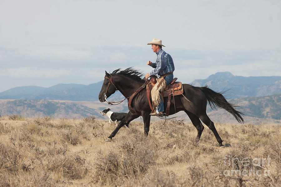 Powderhorn Cowboy Photograph by Jody Miller