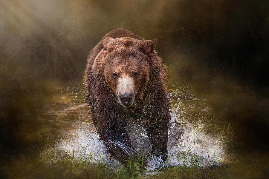 Wildlife Digital Art - Power of the Grizzly by Nicole Wilde
