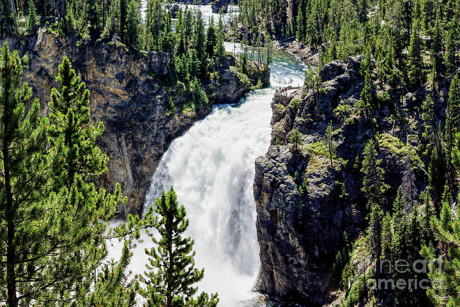 Power of Yellowstone Photograph by Jennifer White