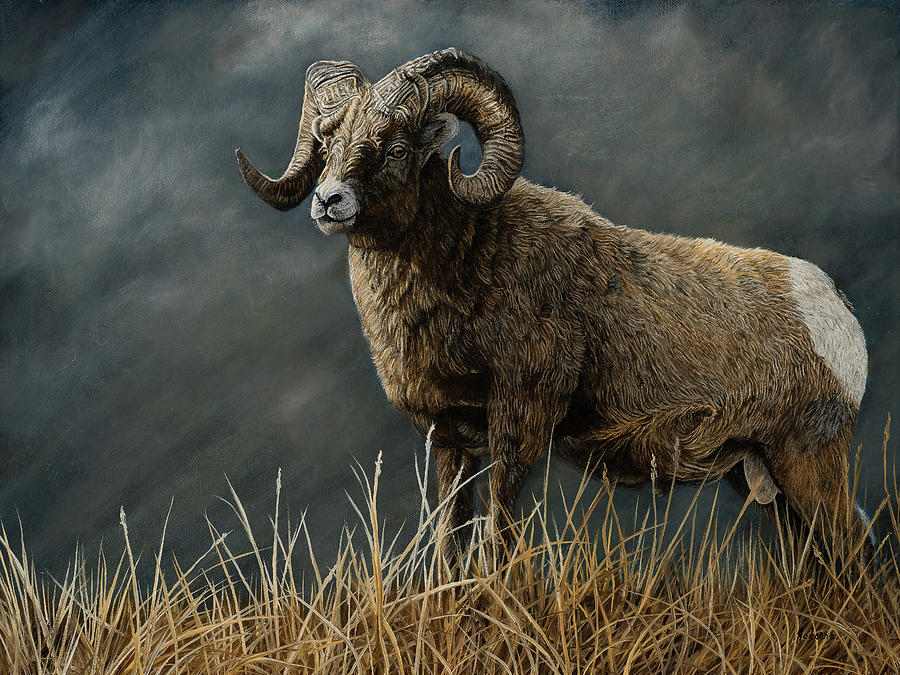 Powerful Force - Bighorn Sheep Painting by Johanna Lerwick
