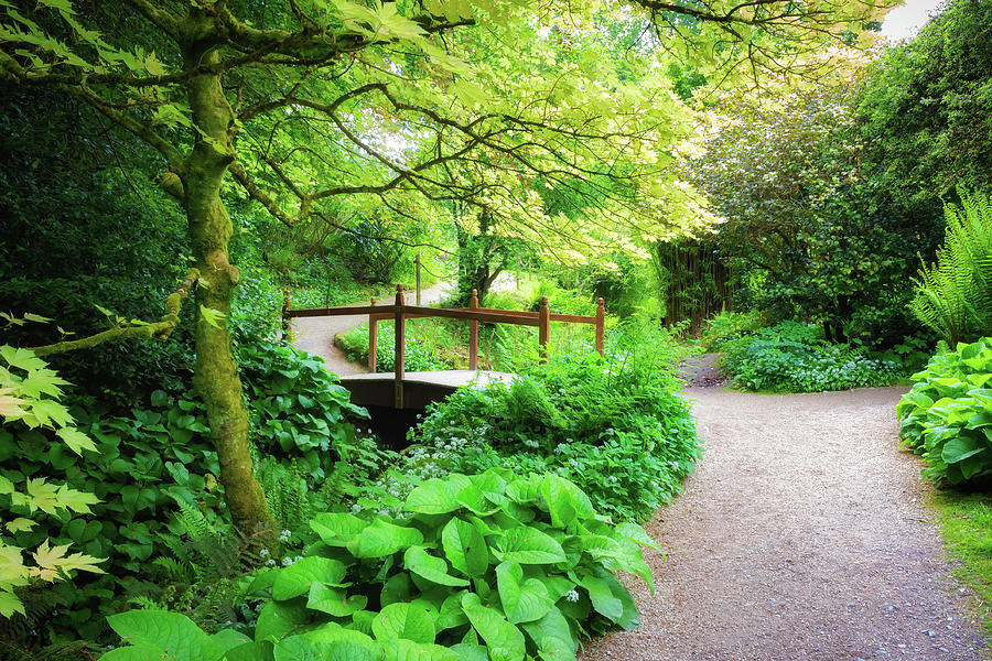 Powerscourt Gardens, Ireland - 9 Photograph by Jordi Carrio Jamila