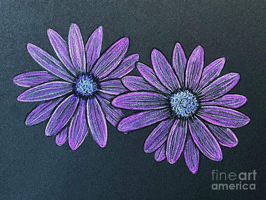 Practice Colored Pencil Daisies Digital Art by Donna Mibus
