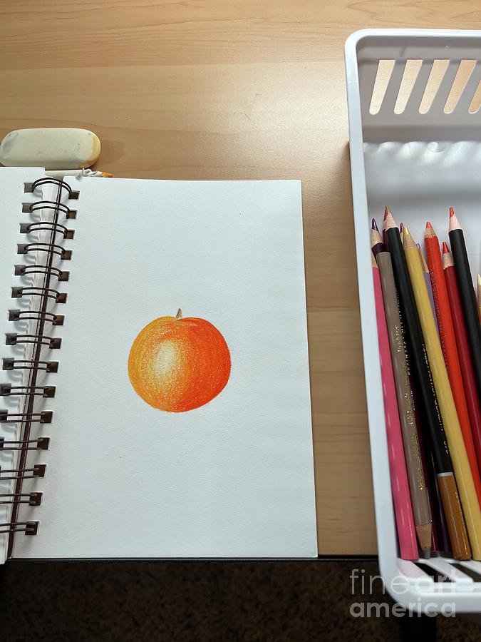 Practice orange  Digital Art by Donna Mibus