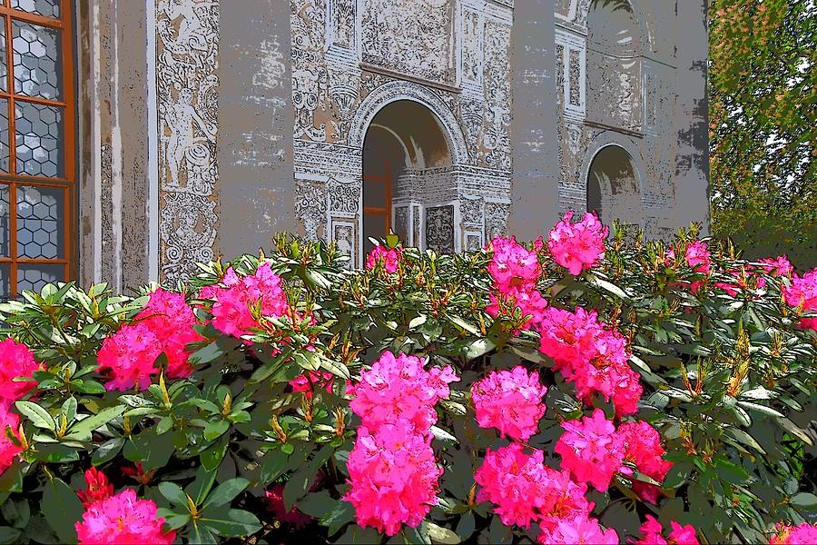 Prague Rhododendrons Digital Art by Susan Allen