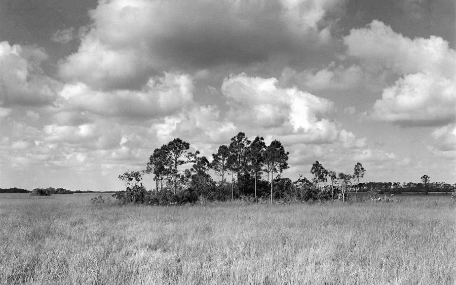 Prairie -2 Everglades Photograph by Rudy Umans