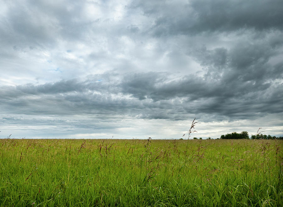Summer Photograph - Prairie And Clouds by Phil And Karen Rispin