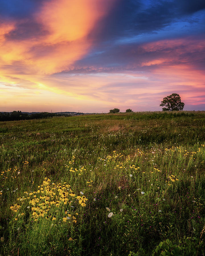 Prairie Color Photograph by Nate Brack