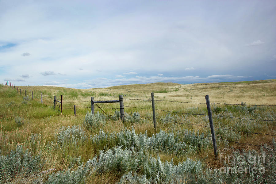 Prairie fields with dark shies in Saskatchewan Photograph by Sandra Cunningham