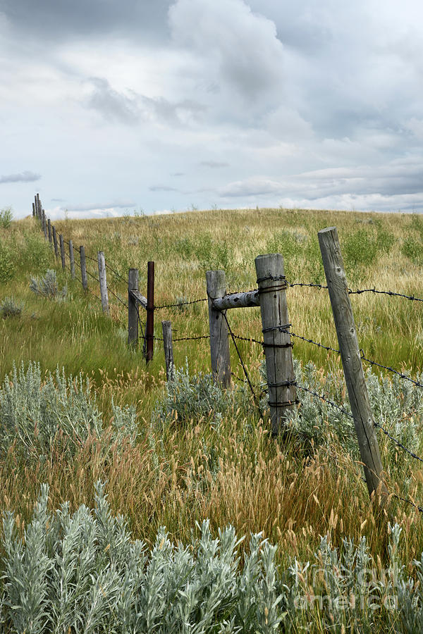Prairie fields with old fence in rural Saskatchewan Photograph by Sandra Cunningham