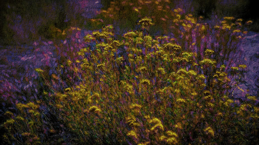 Prairie Flower Abstract Photograph by Bill Posner