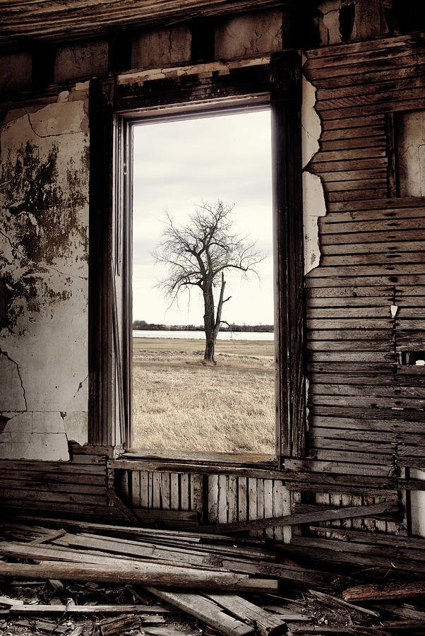 Prairie Portal - picture window in long-abandoned ND homestead Photograph by Peter Herman