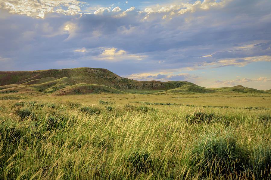 Prairie Scene in Montana Photograph by Jack Bell