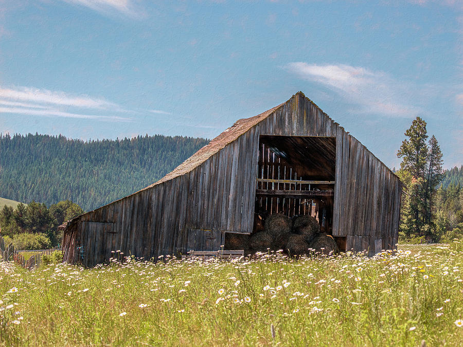 Prairie-Style Barn near Potlatch Idaho Photograph by Douglas Wielfaert