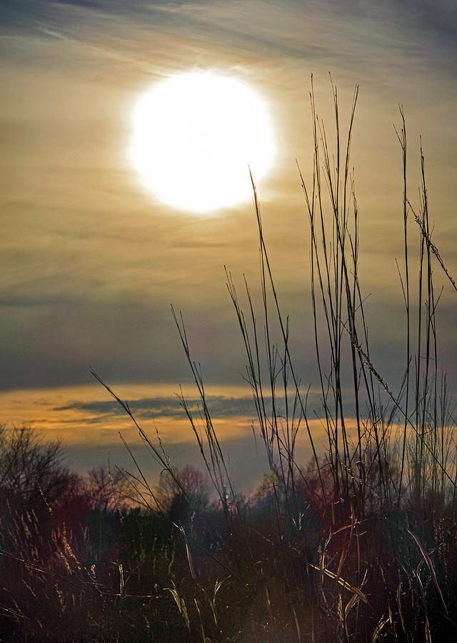 Prairie Sun Photograph by Werner Elmker
