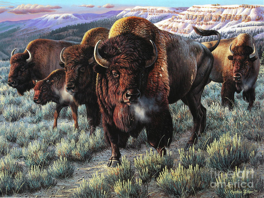 Prairie Thunder Buffalo Painting by Cynthie Fisher