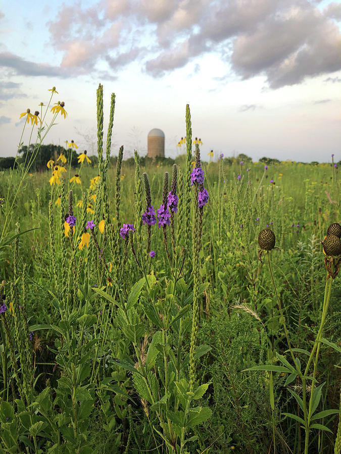 Prairie Wildflowers Silo by Patti Deters Prairie Wildflowers Silo by Patti Deters