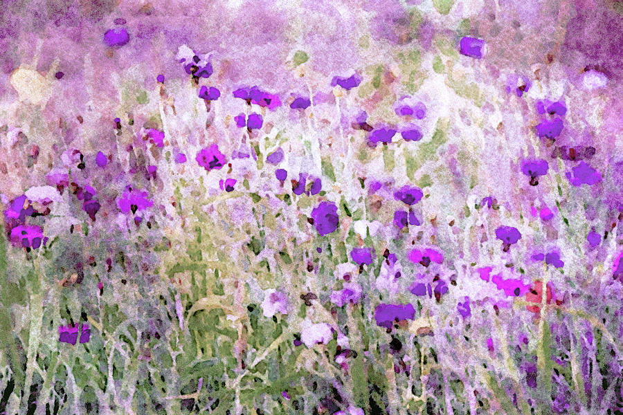 Prairie Wildflowers Painting by Susan Maxwell Schmidt