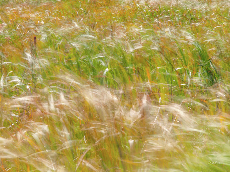 Nature Photograph - Prairie Wind Textures 15 by Leland D Howard