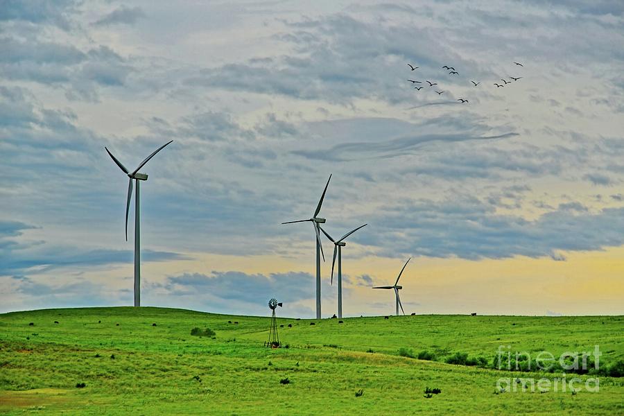 Prairie Winds Photograph by Jon Burch Photography
