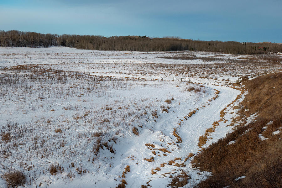 Winter Photograph - Prairie winter landscape by Phil And Karen Rispin