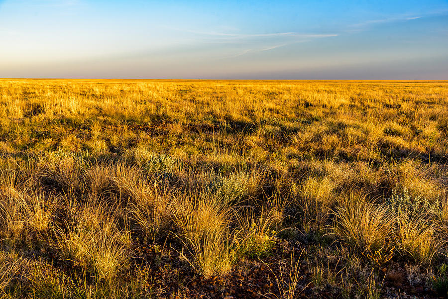 Prairies of Queensland Photograph by Posnov