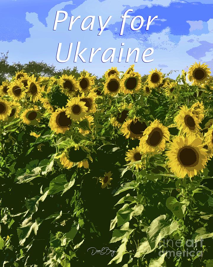 Pray for Ukraine Photograph by Diane E Berry