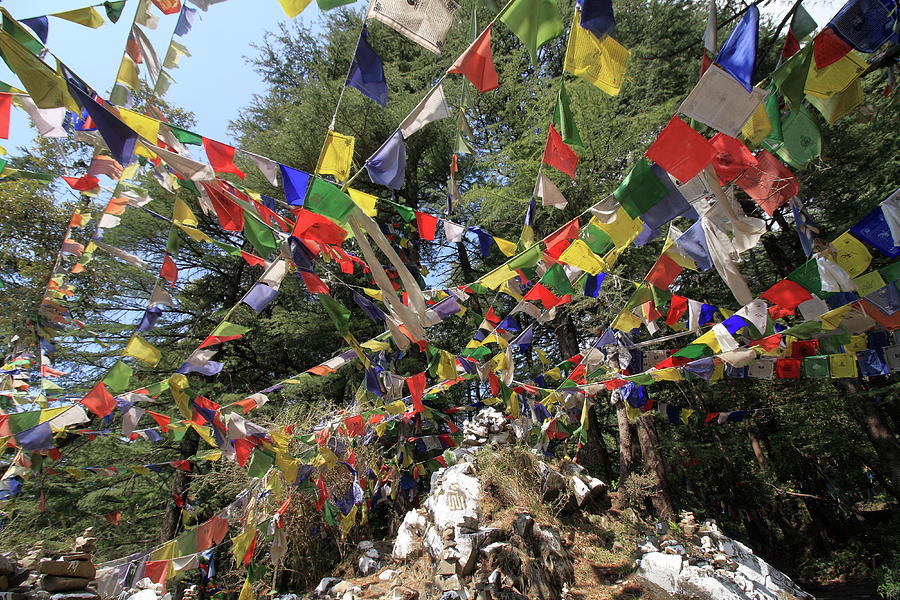 Prayer Flags At The Tibetan Flag Temple #4 Photograph by Aidan Moran