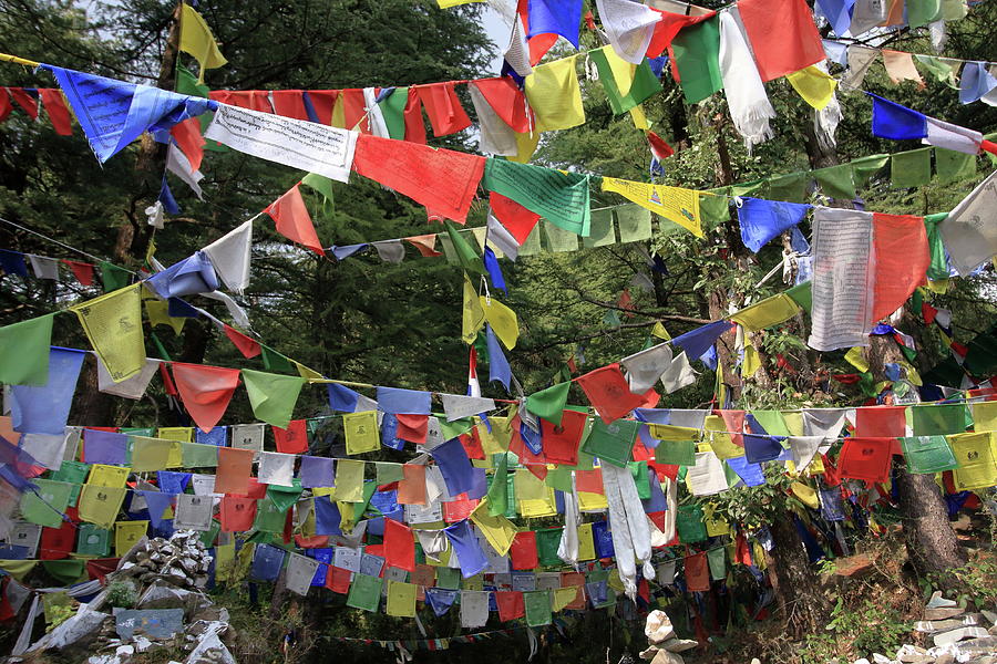 Vibrant Prayer Flags Fluttering in the Wind Photograph by Aidan Moran ...