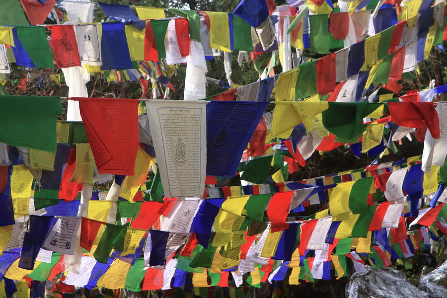 Prayer Flags At The Tibetan Flag Temple #7 Photograph by Aidan Moran