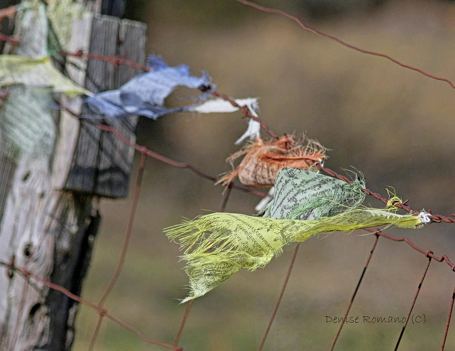 Prayer Flags Photograph by Denise Romano