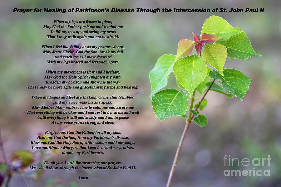 Prayer for Healing from Parkinsons Disease Photograph by Bonnie Barry