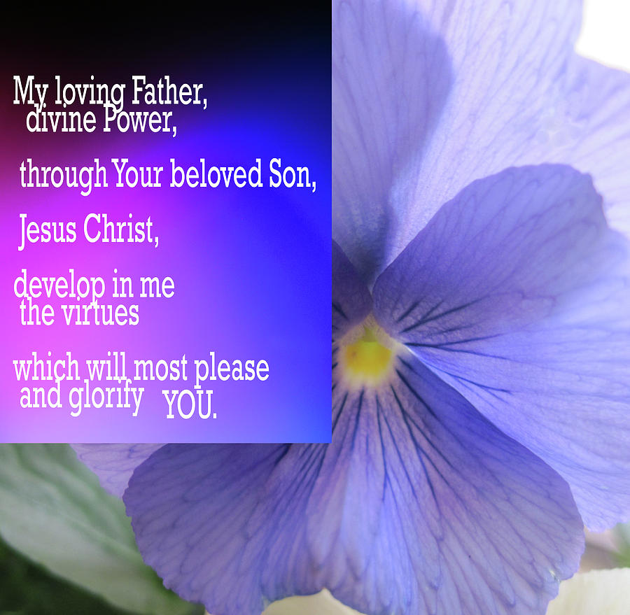 Prayer to our Heavenly Father Photograph by Siobhan Nada | Pixels