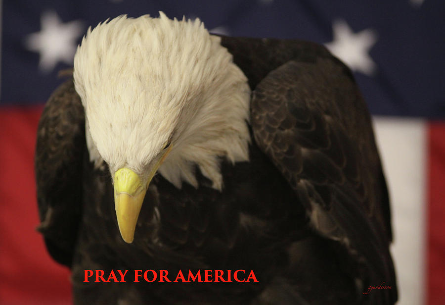 Praying for America Photograph by Gary Gunderson