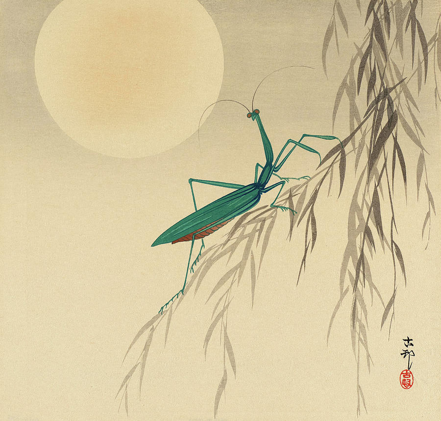 Ohara Koson Painting - Praying mantis, 1936 by Ohara Koson