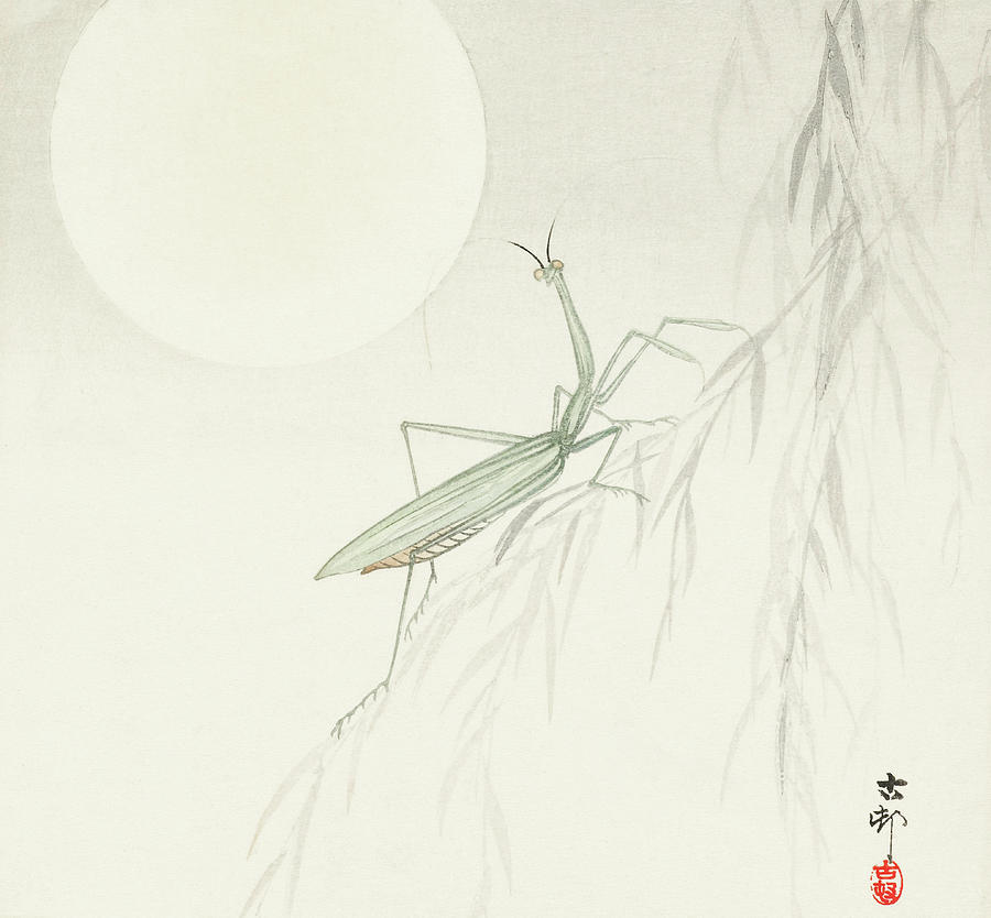 Praying Mantis early 20c Japanese Digital Art by Diane Hocker