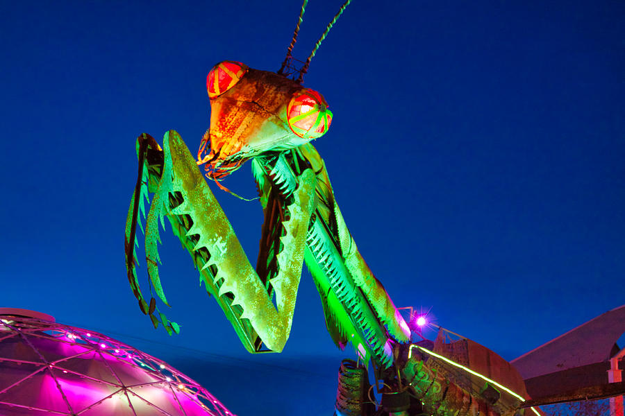 Praying Mantis Las Vegas #2 Photograph by Tatiana Travelways
