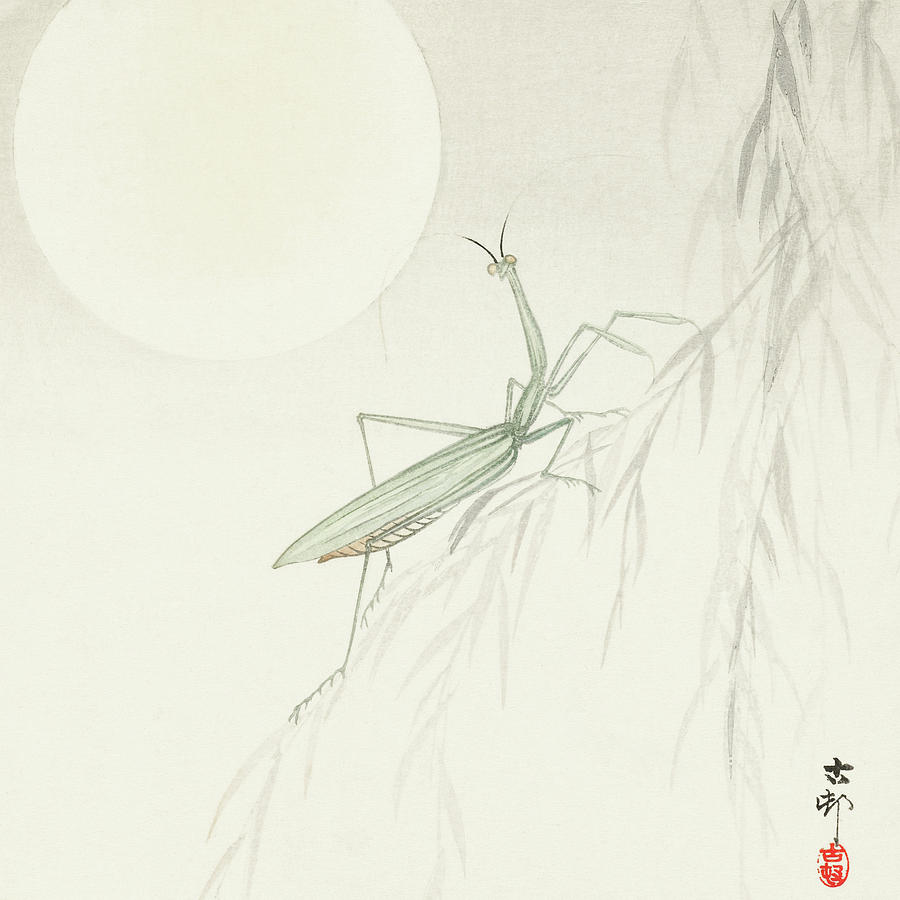 Ohara Koson Painting - Praying mantis by Ohara Koson