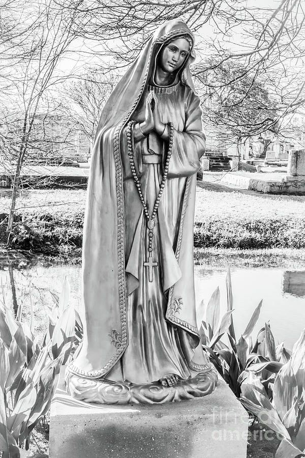 Tree Photograph - Praying Mary by Kathleen K Parker