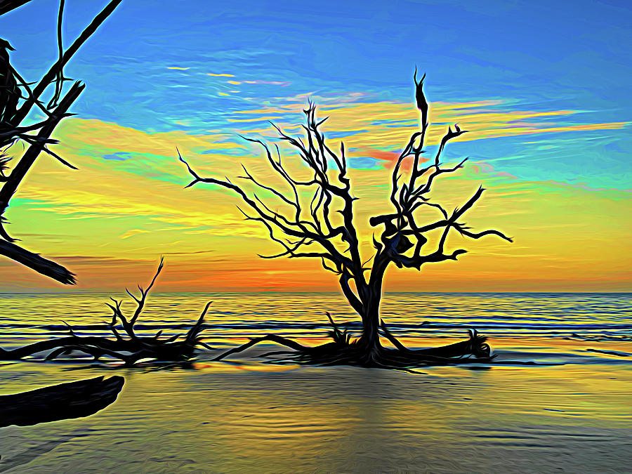 Pre-Sunrise on Driftwood Beach Expressionism Photograph by Bill Swartwout