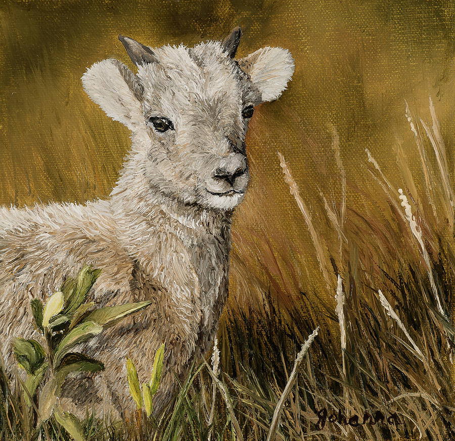Precious - Bighorn Lamb Painting by Johanna Lerwick