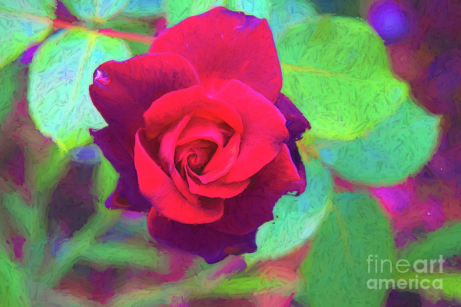 Flower Photograph - Precious Time Rose by Diana Mary Sharpton