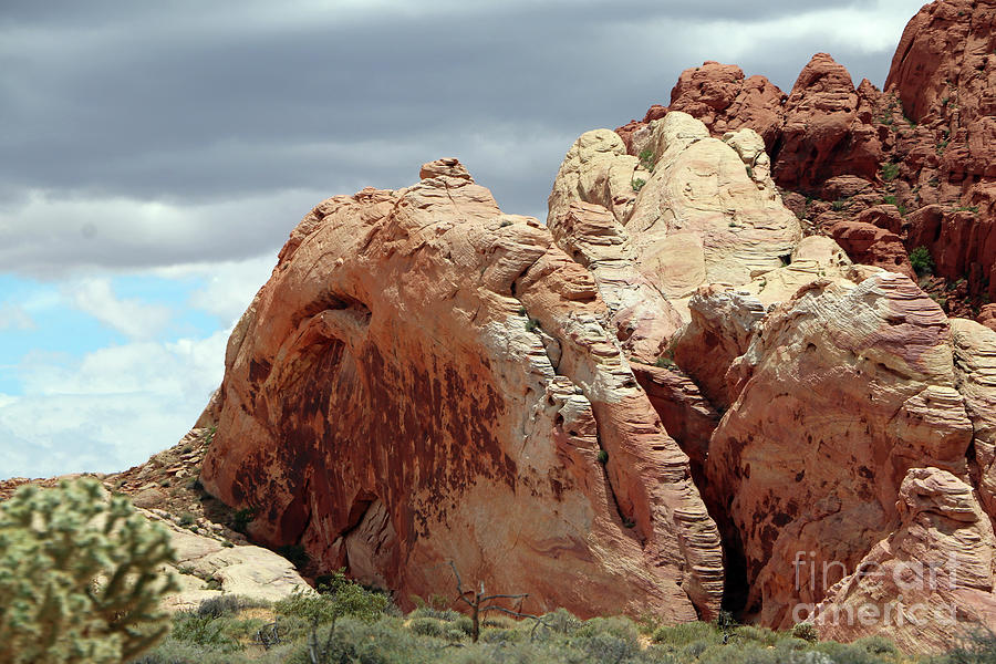 Precious Valley of Fire Landscape Photograph by Christiane Schulze Art And Photography