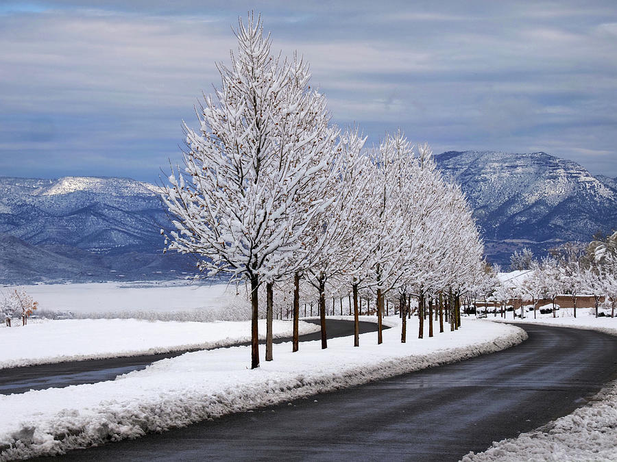 Prescott Valley Winter Photograph by Joe Schofield