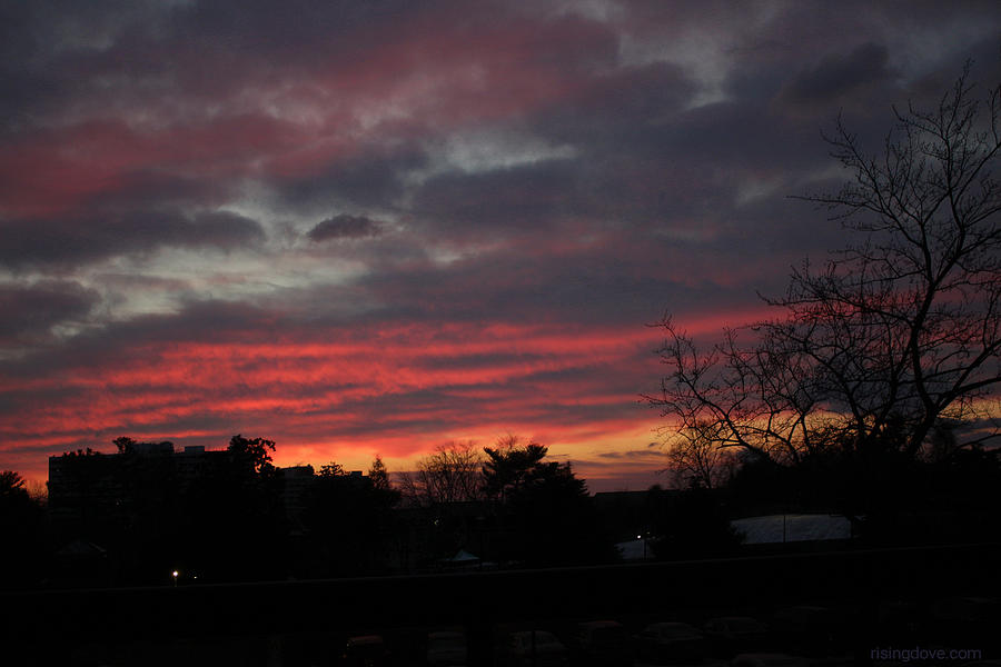 Predawn Sky with Amazing Array of Colors February 20 2021 Photograph by Miriam A Kilmer