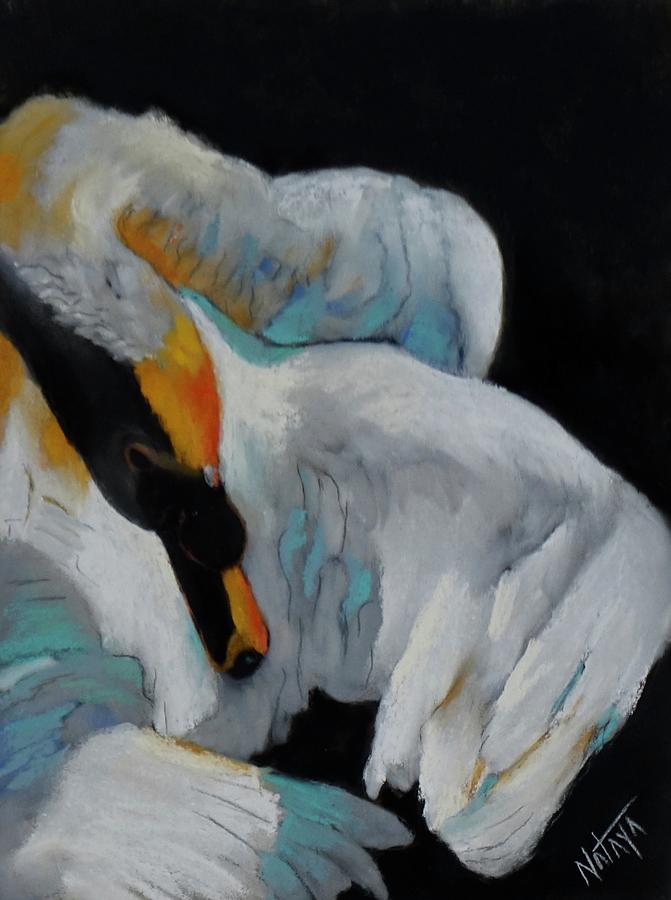 Preening Swan 2 Pastel by Nataya Crow