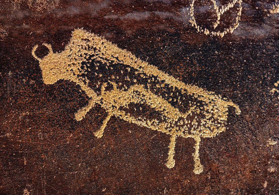 Pregnant Buffalo Petroglyph - Nine Mile Canyon, Utah by Abbie Matthews