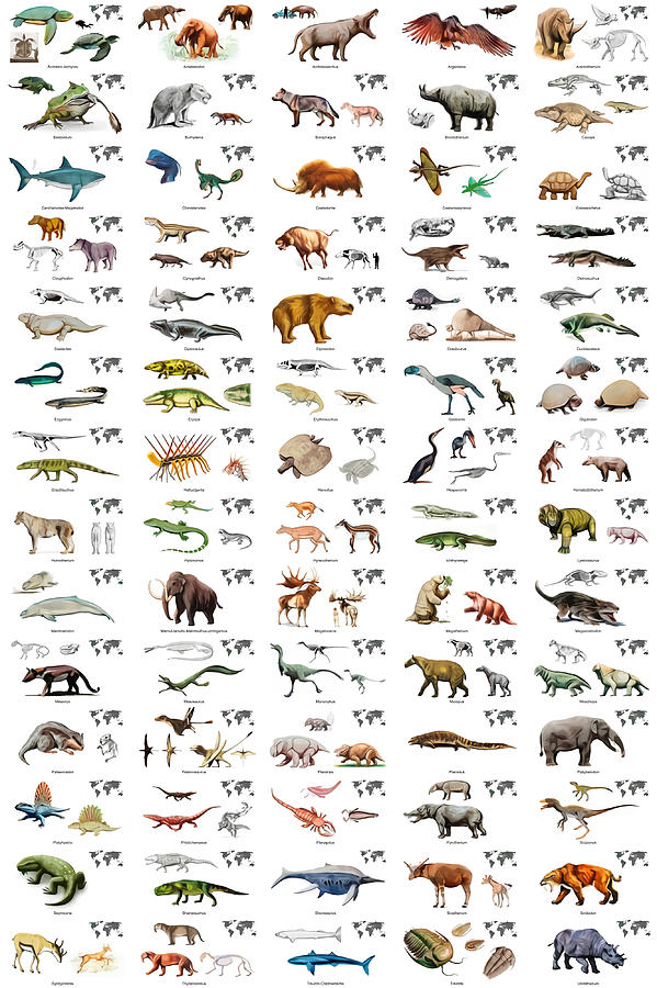 Prehistoric Animals with names and maps gift Painting by Joel Lola ...